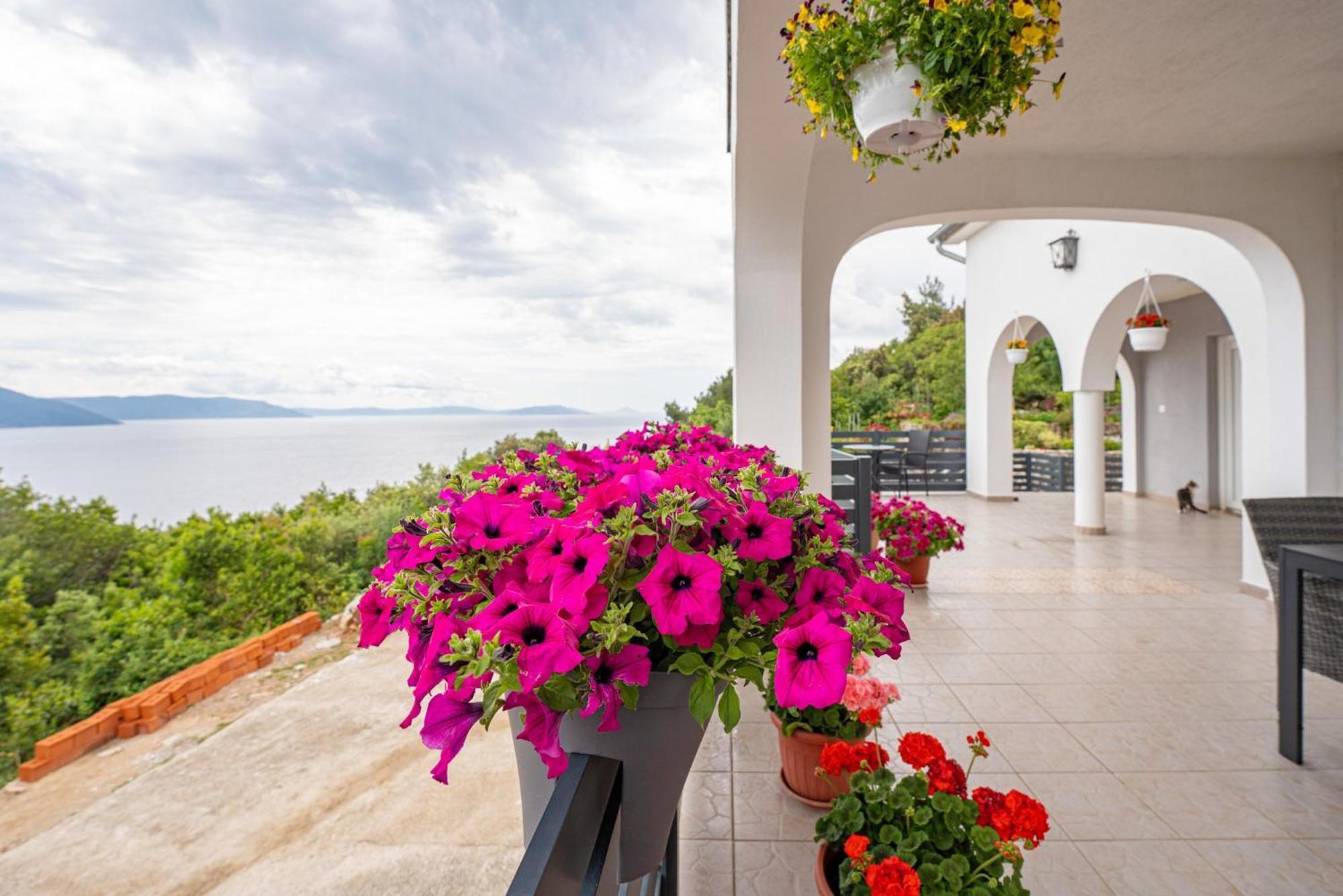 Villa Paradiso In Plomin - Istrien Exterior photo